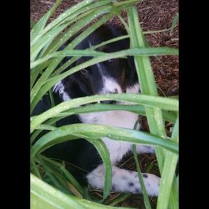 Meet your Posher, Peggy